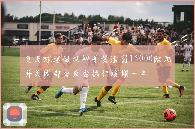 皇马球迷做纳粹手势遭罚15000欧元并关闭部分看台执行缓期一年