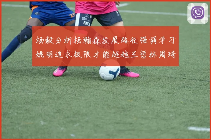 杨毅分析杨瀚森发展路径强调学习姚明追求极限才能超越王哲林周琦状态
